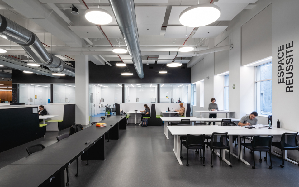 Glass.Mapper.Sc.Fields.Image?.Alt