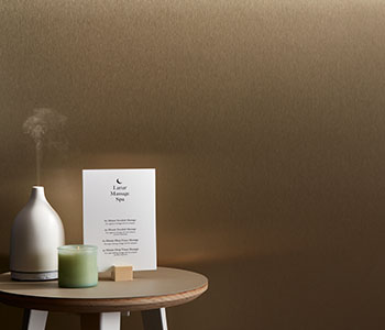 Castle.Proxies.IUpCardProxy?.CardImage?.AltText