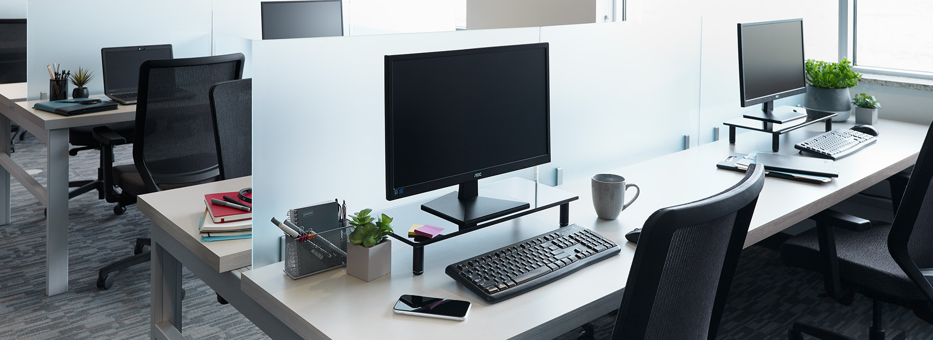 4923 Cream Softwood Intentek Laminate